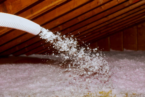Best Residential Insulation in Houma, LA