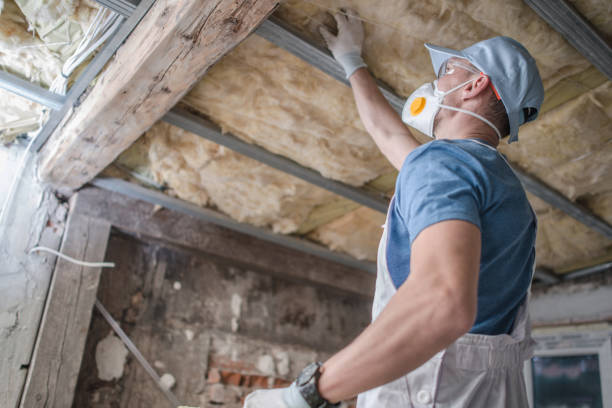 Best Insulation Maintenance and Repair in Houma, LA